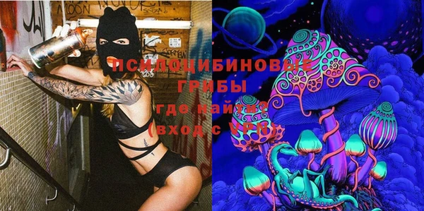 ПСИЛОЦИБИНОВЫЕ ГРИБЫ Надым